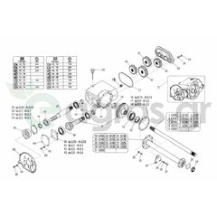 Γρανάζι ταχυτήτων Ζ17-53-Maschio