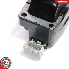 Πολλαπλασιαστής SKVesen 03SKV074