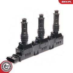 Πολλαπλασιαστής SKVesen 03SKV022