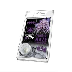 Plant Of Life Terpsolator 99% CBD Purple Haze 500mg