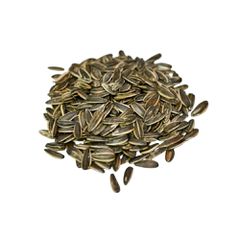Ηλιόσπορος ψημένος με αλάτι 510 γρ. Μέγεθος: 510 gr