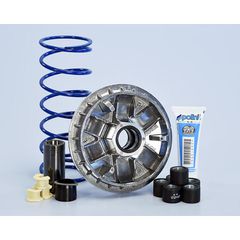 Βαριατορ Hi-Speed Kymco Agility 300I Euro 4 20-24 241.756 | Polini