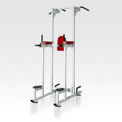 VIKING H-027 Vertical Knee Raise Μονόζυγο/Δίζυγο