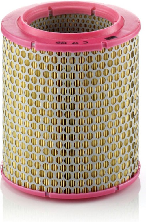 MANN-FILTER Φίλτρο Αέρα - C 17 129