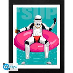 ORIGINAL STORMTROOPER - Framed print Pool Boy (30x40) x2 / Fan Shop and Merchandise
