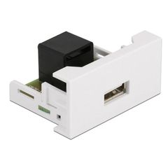 DELOCK module USB σε RJ45 Easy 45 81344 22.5x45mm σε λευκό χρώμα