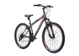 Παιδικά Ποδήλατα Alpina 2022 ALPINA ALPHA MTB 24'' MAN GREY ΜΕ SHIMANO 1400AS 2022