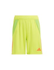 Adidas Tiro 24 Jr IT2421 shorts