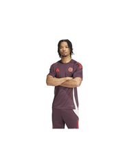 Adidas FC Bayern Training JSY M IS9935 Tshirt