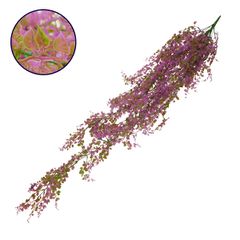 GloboStar® 09036 Τεχνητό Κρεμαστό Διακοσμητικό Φυτό Μήκους 1.2 μέτρων με 13 X Κλαδιά Πυξός Πράσινο Μωβ