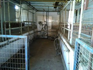Tractor milking/breeding machinery '07