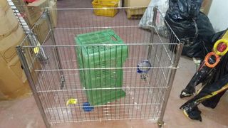 ΡΑΦΙΑ SUPER MARKET-thumb-6