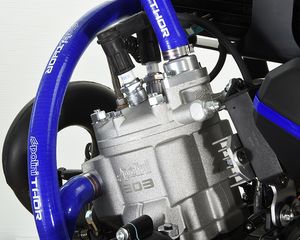 Παραμοτέρ 2026 ΠΡΟΣΦΟΡΑ Polini Thor 303 38HP-thumb-10