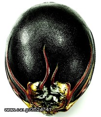 Κράνος Luis Helmet Custom cross HD88-thumb-10