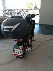 Daytona Velos 2022-thumb-3