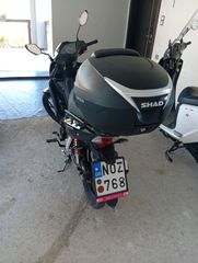 Daytona Velos 2022-thumb-4