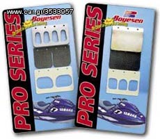 ΛΥΡΗΣ Reeds, Boyesen Pro-Series, KAW 750/800 Limited