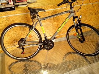Trekking Orient 2025 VITA CROSS  28'' MAN GREY-thumb-10