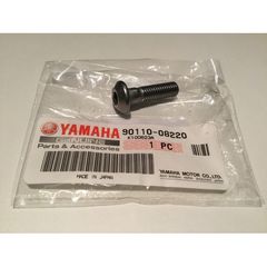 YZF-R1,YZF-R6,FJ-1200,FZ6S,TRACER-900,TDM-900,DT-200R,DT-125,DT-125X,TDR-125,WR-200R,FZ6 FAZER,FZS-1000,MT-01,MT-125,XVZ-1300,XSR-900  KAI YFM-660 ATV ΥΑΜΑΗΑ ΒΙΔΑ ΜΑΣΠΙΕΔΩΝ Η ΣΚΕΛΕΤΟΥ