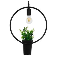 Μοντέρνο Κρεμαστό Φωτιστικό FLOWERPOT Μονόφωτο 1 x E27 Μαύρο Μεταλλικό με Διακοσμητικό Φυτό Φ30 x Y30cm