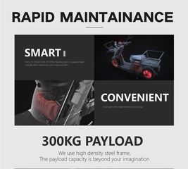Roller / Scooter 2025 CARGO T EXPRESS 4000 W  BOSCH 72v 50 ah-thumb-8
