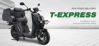 Roller / Scooter 2025 CARGO T EXPRESS 4000 W  BOSCH 72v 50 ah-thumb-22