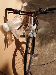 Trekking KTM 2021 life track 28''-thumb-5