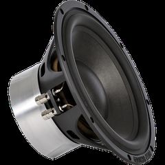 Ground Zero GZPW Reference 250 - High End Subwoofer 25 cm / 10 Inch