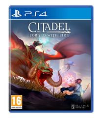 Citadel: Forged with Fire / PlayStation 4