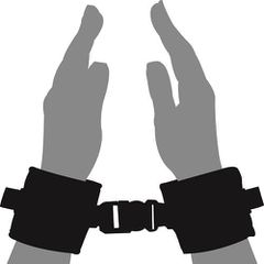 LOVING JOY BEGINNERS WRIST RESTRAINTS