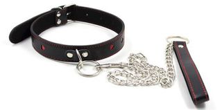Easy Collar Leash