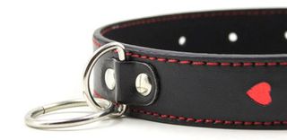 Easy Collar Leash-thumb-4