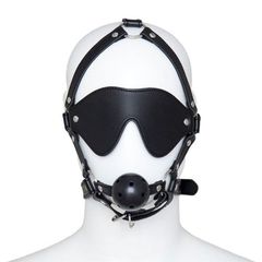Total Head Harness Restraint