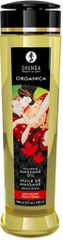 Λάδι για Ερωτικό Μασάζ Shunga Maple Delight 240 ml
