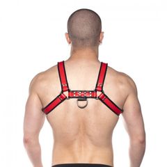 Prowler RED Bull Harness Black/Red Medium-thumb-2