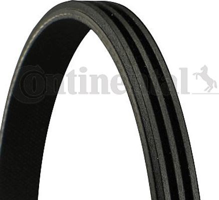Continental Ctam Ιμάντας poly-V - 3PK1000