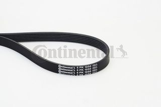 Continental Ctam Ιμάντας poly-V - 6PK1050