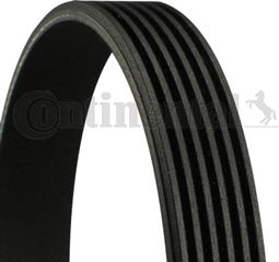 Continental Ctam Ιμάντας poly-V - 6PK2013