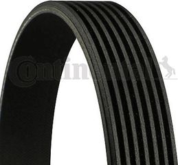 Continental Ctam Ιμάντας poly-V - 7PK1113