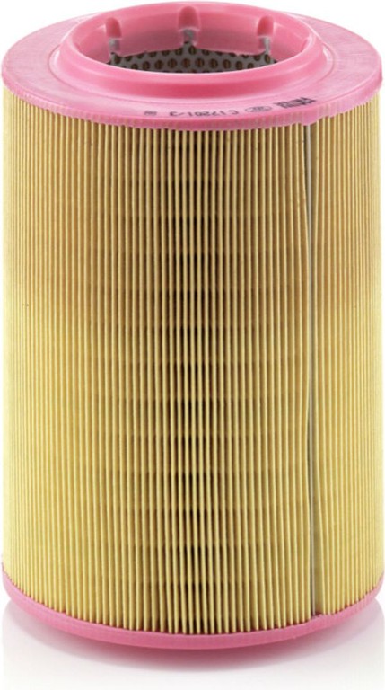 MANN-FILTER Φίλτρο Αέρα - C 17 201/3