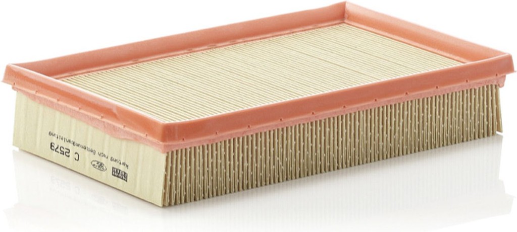 MANN-FILTER Φίλτρο Αέρα - C 2579