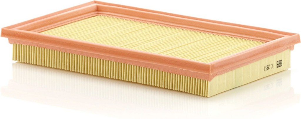 MANN-FILTER Φίλτρο Αέρα - C 2851
