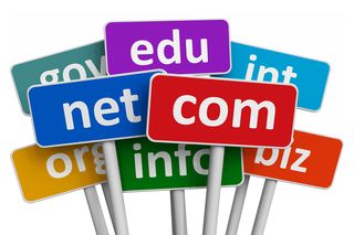 Domain Name (.com, .info, .eu etc)