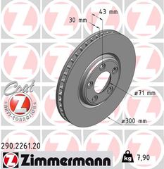 Δισκόπλακα ZIMMERMANN 290226120