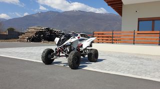 Yamaha '10 RAPTOR 