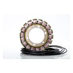 Rick's stator, OEM style Aprilia