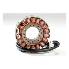 Rick's stator, OEM style Ducati