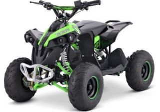 Dirt Motos '22 Renegade electric 1200w