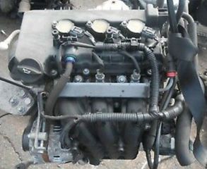 MN195769 COLT-thumb-1