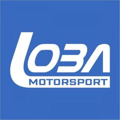 Σετ βαλβίδες εισαγωγής / εξαγωγής (16 τμχ) της Loba Motorsport για VAG 4 Cyl 1.8/2.0 TSi/TFSi EA113/EA888 (7110200)